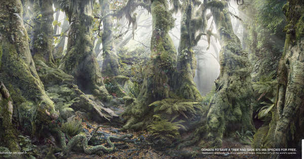 あなたは何種類 見つけられる 綺麗な森に隠れた動物たちの画像の謎 Memcode